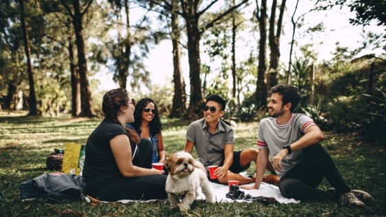 free self care activity picnic