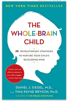 whole brain child parenting styles book