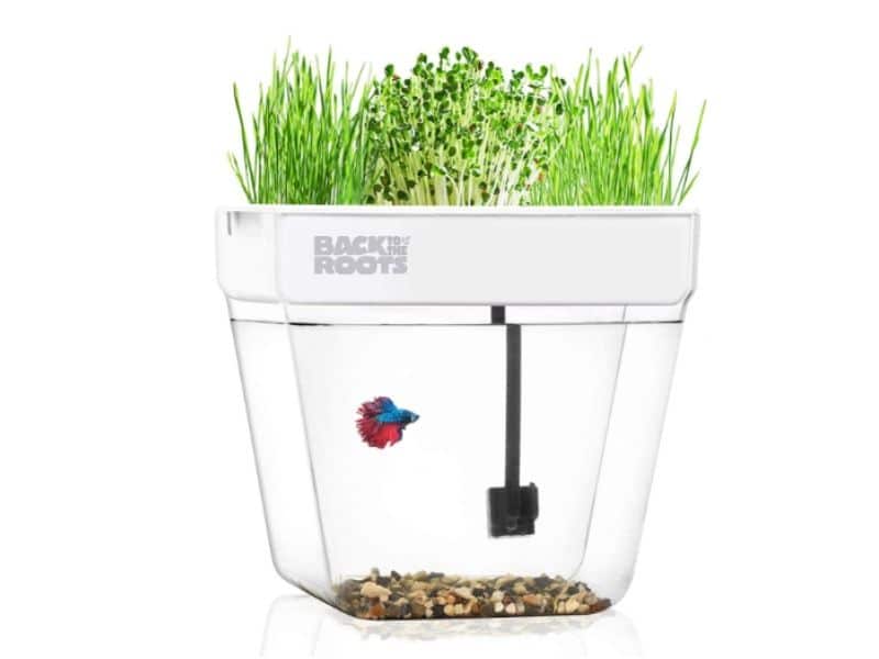 non toxic kids gift ideas water garden